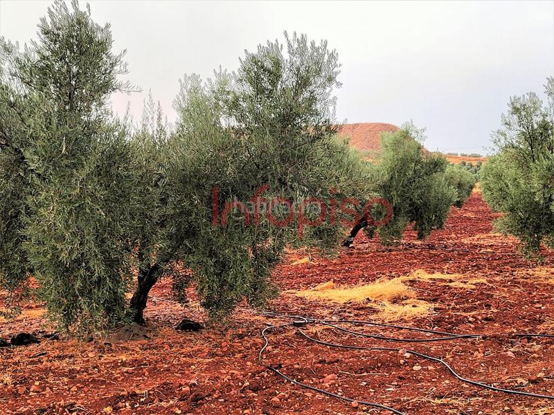 Foto b0f48279-f0f9-40d4-8515-5d428d94ed53. Country house in Valdepeñas