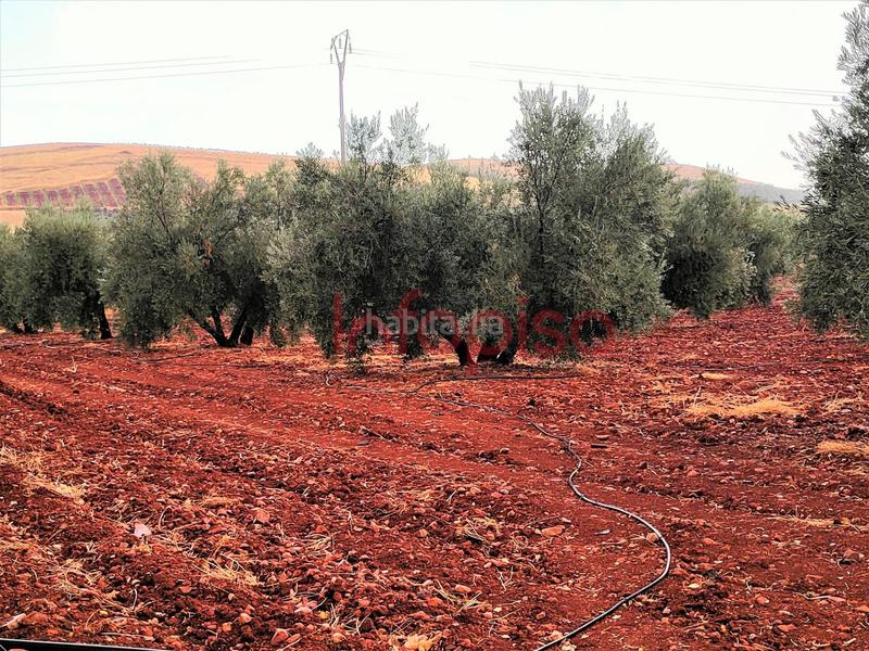 Foto f58ce692-cf94-4085-a386-358eb9cdd4ca. Country house in Valdepeñas