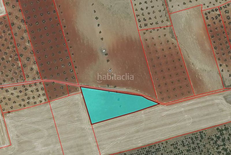 Foto c0a882a1-e375-4faa-b4c9-ad5e68a482ea. Masia a n/a a Torrenueva