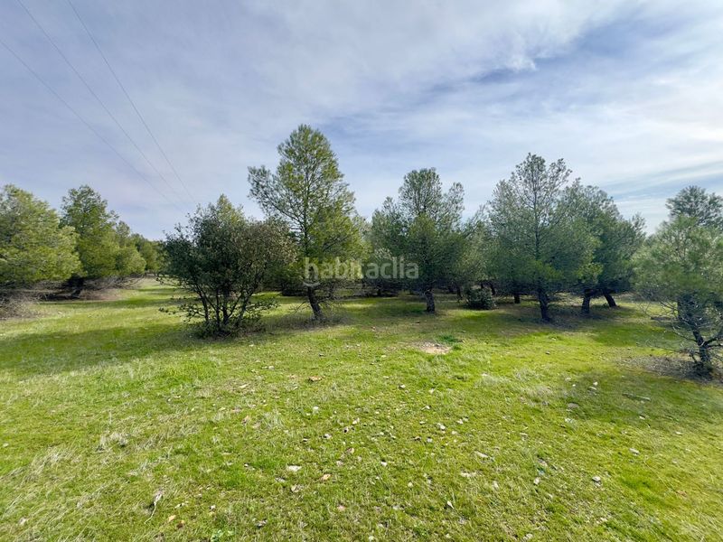 Foto 4588732e-f83a-4d8b-9853-c272eae9a359. Masia a Torrenueva