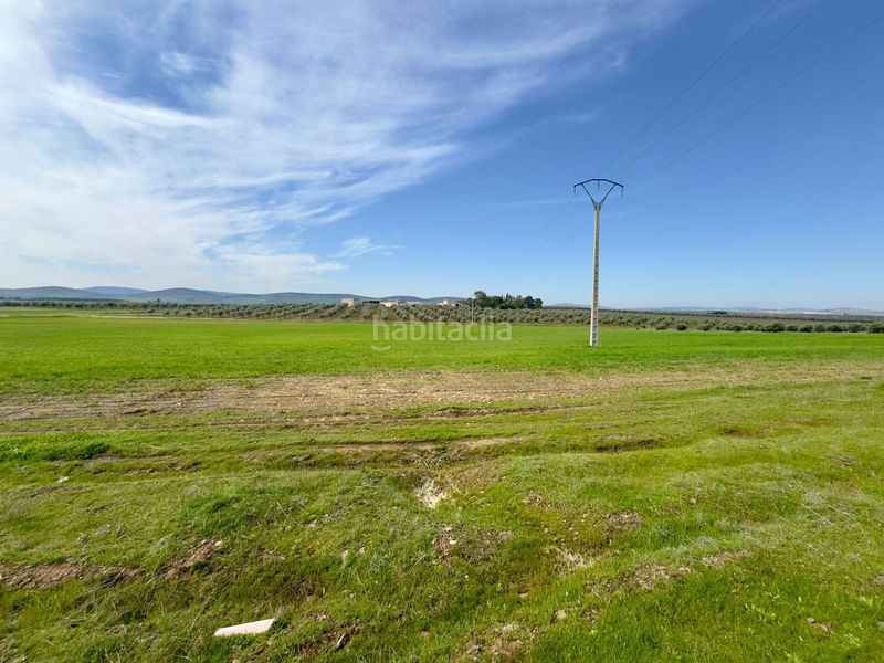 Foto 4a3171e6-84c3-4ad7-9608-e3f2fc8c89fd. Masia a Torrenueva