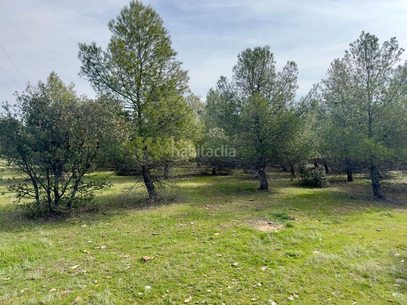 Foto d03ddf80-a058-4b9c-a34b-45ee65a3f35f. Masia a Torrenueva