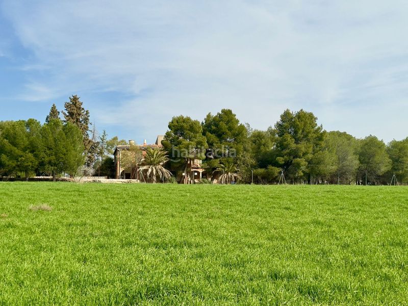 Foto d8ed526b-ad08-4618-adeb-b95a8bb8ce0d. Masia a Torrenueva
