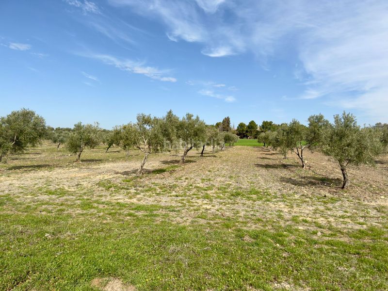 Foto f9aaab00-320b-430f-9510-8aba011282bc. Masia a Torrenueva