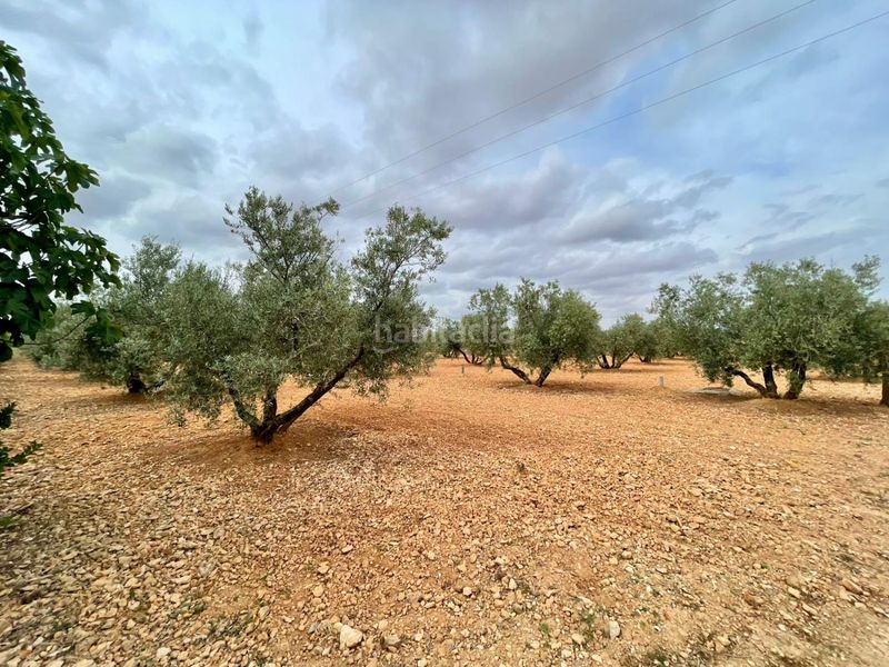Foto b9175062-8beb-4888-b2ad-b1dcd796141b. Masia a Valdepeñas