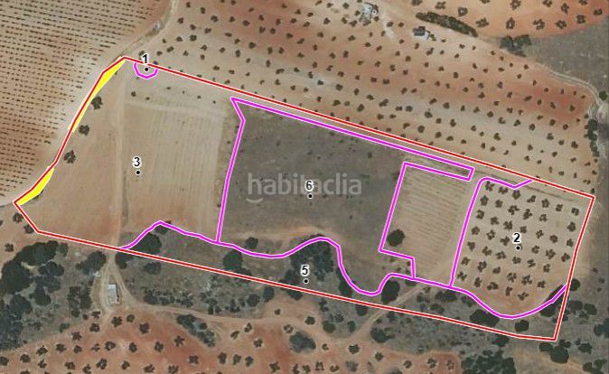 Foto ad437a5b-2903-4574-8f99-7647093e6089. Masia a Valdepeñas