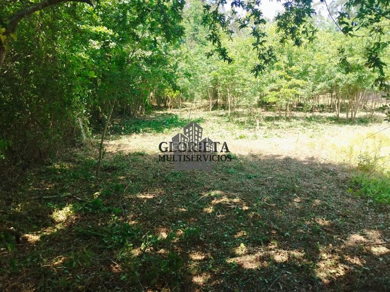 Foto 98584c63-732c-4425-8a19-3e19f79ca6db. Landgut in Tui