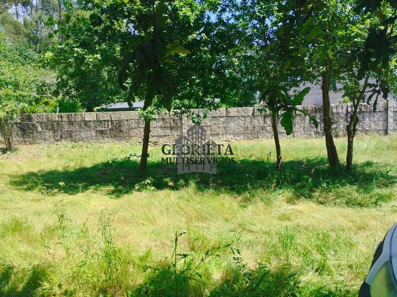 Foto b4e578fc-2abd-41a4-afbe-4e29de065006. Landgut in Tui