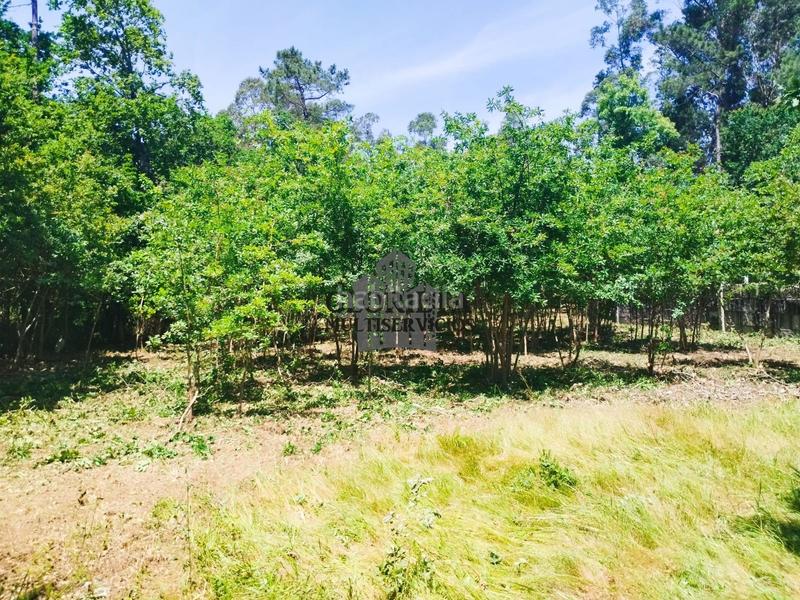 Foto d12a6c27-0856-40b6-b680-0cd2533653c5. Landgut in Tui