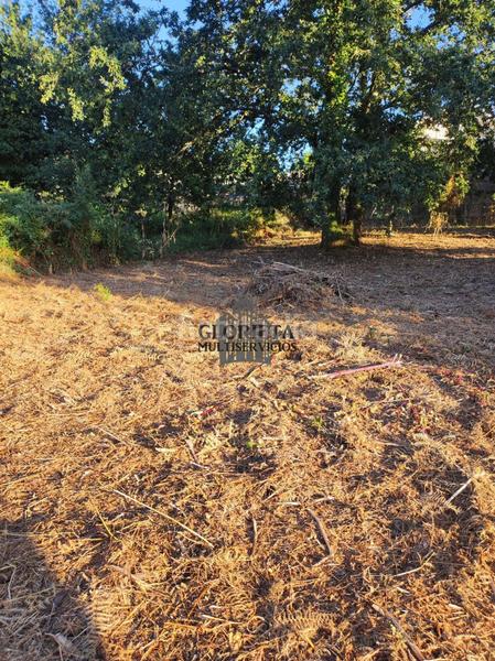 Foto 9078298d-595a-4331-912a-85bd6413ec1b. Finca rústica a Lavadores Vigo