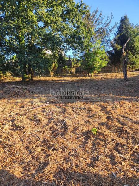 Foto a1a008a5-6f37-4b58-83ec-464d9f929b48. Finca rústica a Lavadores Vigo