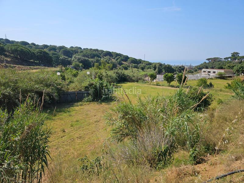 Foto 189f676c-2c4d-4c07-b90a-629bb80d67c5. Propriété dans Rocafonda Mataró