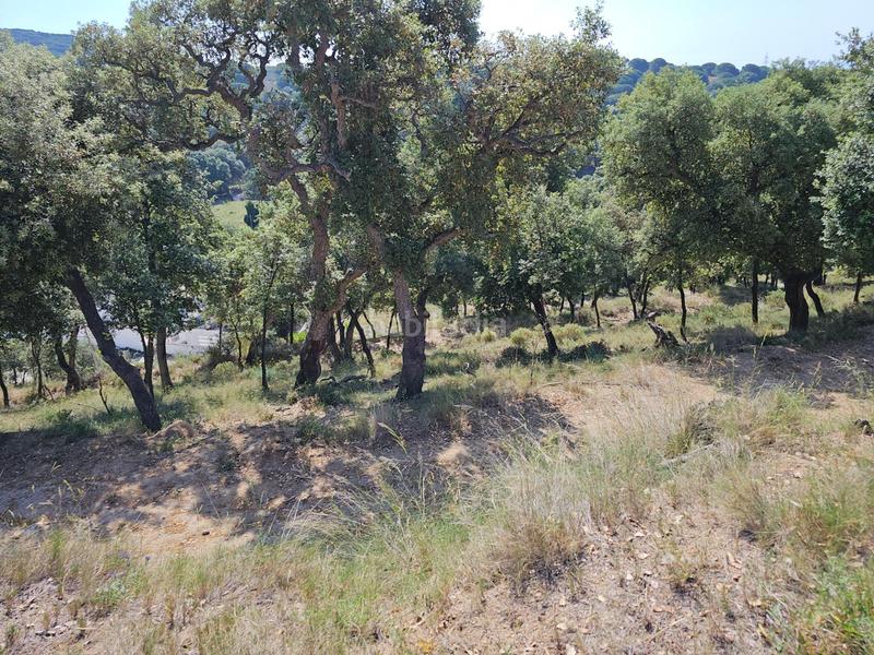 Foto 1a78665c-afd0-4abf-9fe5-644f4f0ac711. Propriété dans Rocafonda Mataró