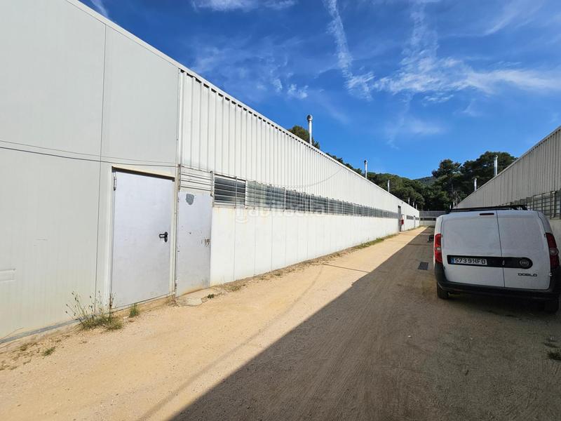 Foto 28f35594-b2bb-4be3-bda9-2b2da0b955b5. Propriété dans Rocafonda Mataró