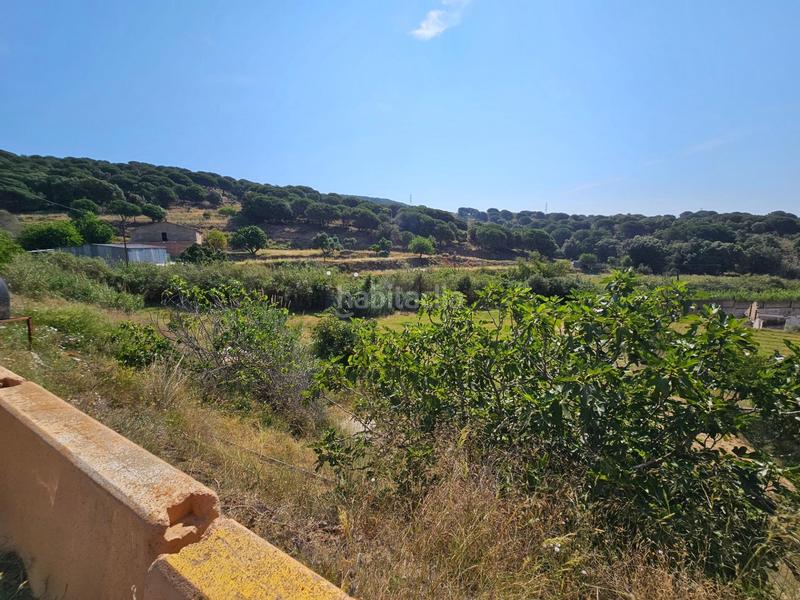 Foto 2ec47c1b-6e76-49b2-b6c0-09b99a51802a. Propriété dans Rocafonda Mataró