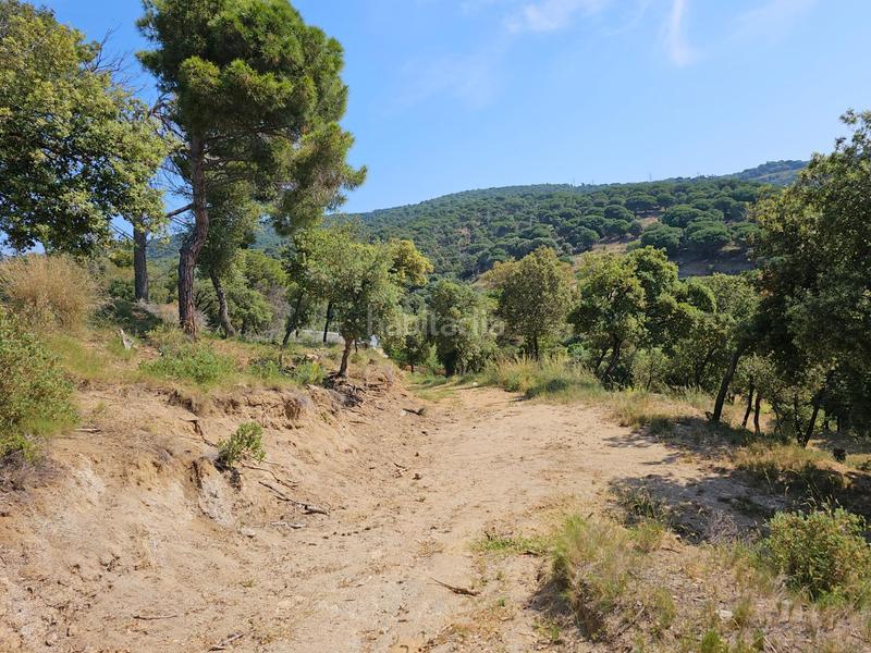 Foto 70e01e87-1571-481b-a5f5-2a40836d944b. Propriété dans Rocafonda Mataró