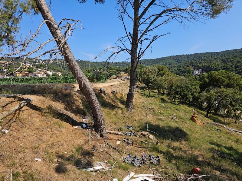 Foto 72c20b87-0e69-452c-82a1-66586cd1b575. Propriété dans Rocafonda Mataró