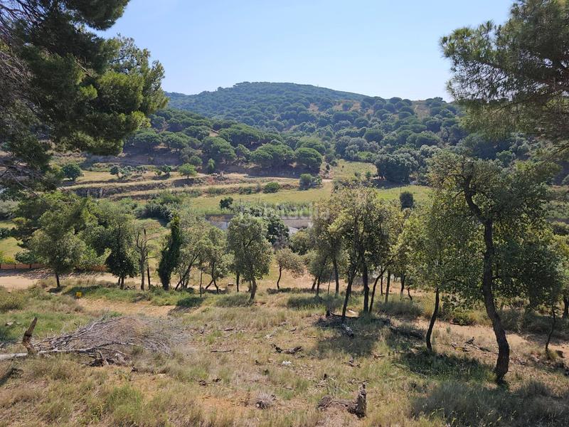 Foto b9ca40b7-c61b-4375-875e-992492153f0d. Propriété dans Rocafonda Mataró