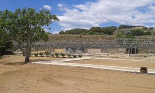 Finca rústica a Centre. Terreno rustico con uso principal agrario  en venta en arenys de