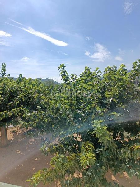 Foto 35b4302f-75aa-49c0-9ed7-8f77828b64be. Finca rústica a Urbanitzacions Argentona