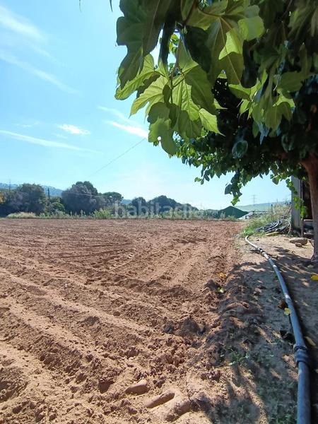 Foto 5b324a13-02cc-4a0e-ba16-d1718e67f10a. Finca rústica a Urbanitzacions Argentona