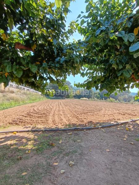 Foto 8986fedd-5356-4e59-95d8-9eafcd049955. Finca rústica a Urbanitzacions Argentona