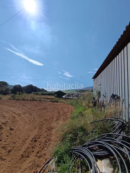 Foto 8ca47f3c-524c-4468-8b1b-1812cc5fa4aa. Finca rústica a Urbanitzacions Argentona