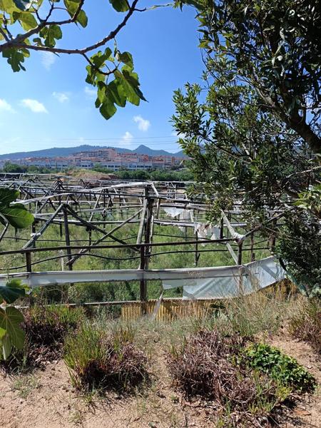 Foto afdf8754-1160-4ac0-b5c5-b48eac44ffbf. Finca rústica a Urbanitzacions Argentona