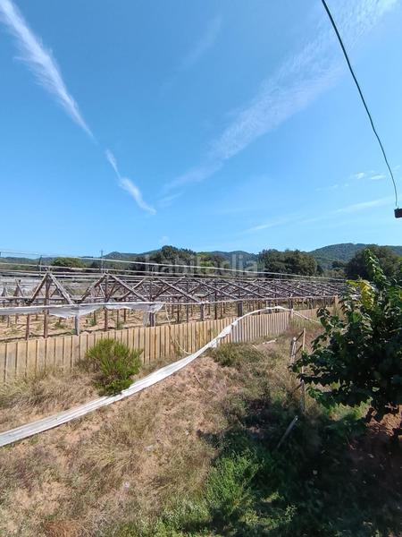 Foto e5132c7b-aa64-4c05-b6f2-b17a61616622. Finca rústica a Urbanitzacions Argentona