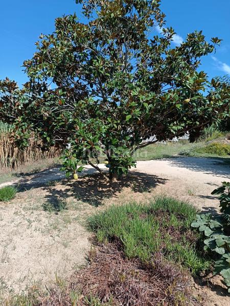 Foto e6b00aad-f005-4ba3-84e2-95c81776b8db. Finca rústica a Urbanitzacions Argentona