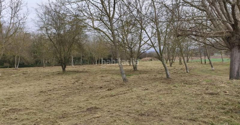 Foto 9ed6ee95-e188-4816-ac36-9e010c7a55c0. Terreny residencial a Tona