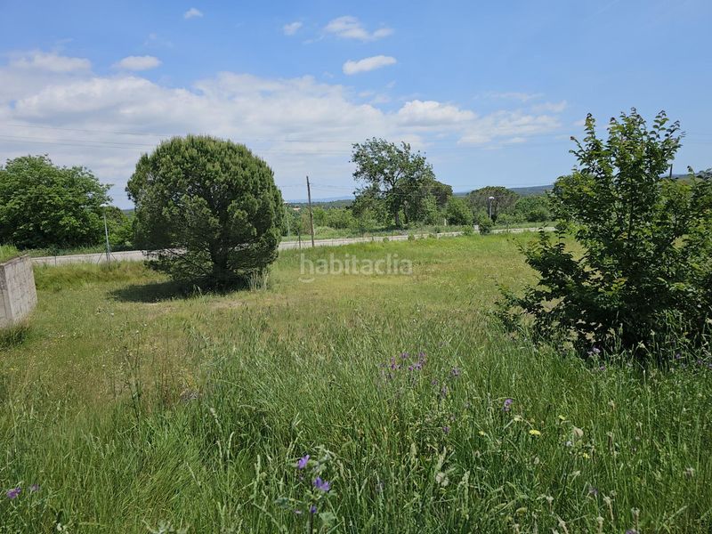 Foto 78223b40-6ed0-49e3-a70b-f20c89e5bd3e. Mas dans Sils