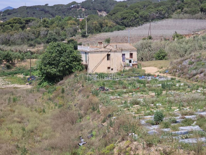 Foto 18d040f4-3134-43ab-94a8-568945675845. Masia amb aparcament a Canet de Mar