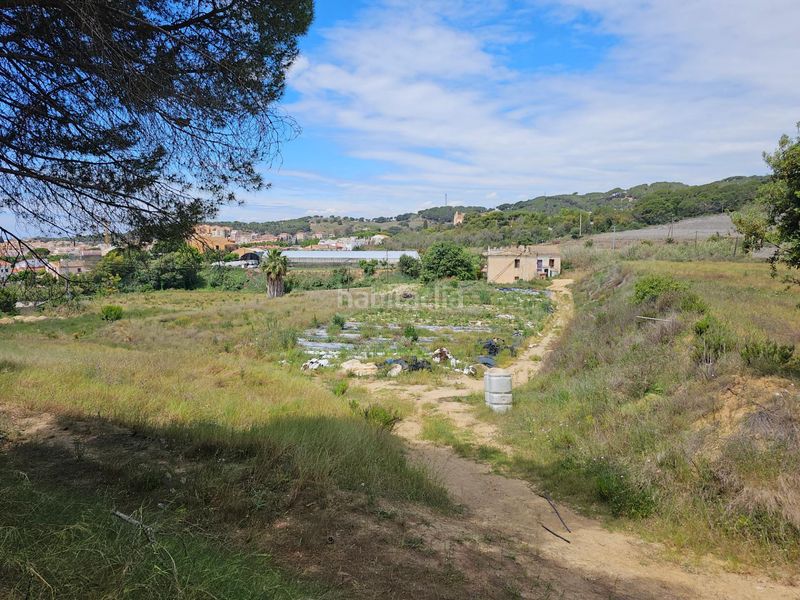 Foto ec946ef1-0acc-4997-ae4d-690be16fea76. Masia amb aparcament a Canet de Mar