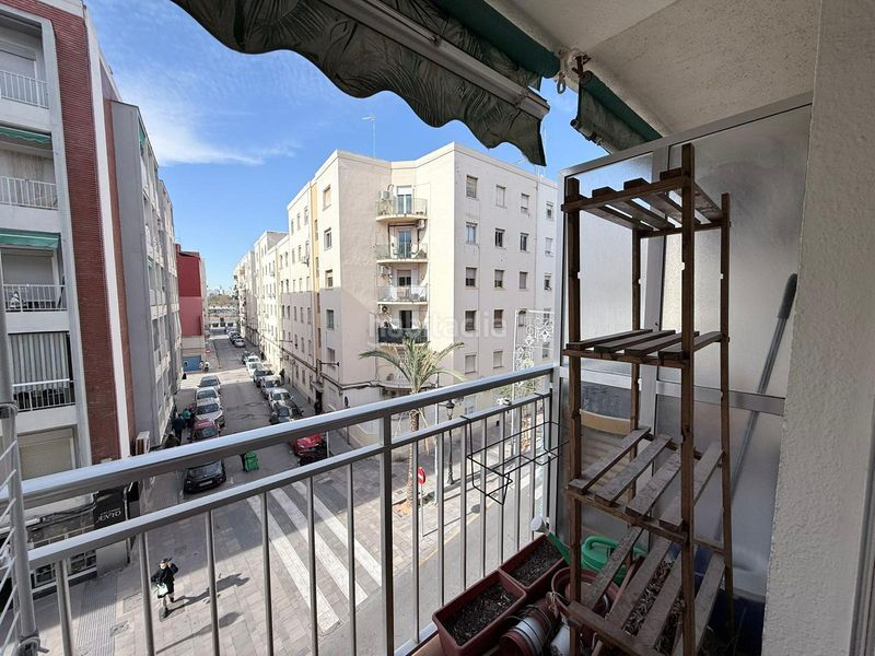 Foto 3874fefe-b4ae-4d20-8248-ef1615ffbacd. Pis a Malva Rosa Valencia