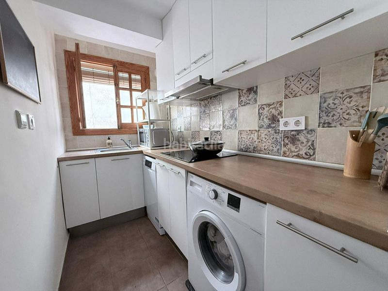 Foto 4249bd2e-99e3-4a18-b1c1-c3e63c34d52c. Pis a Malva Rosa Valencia