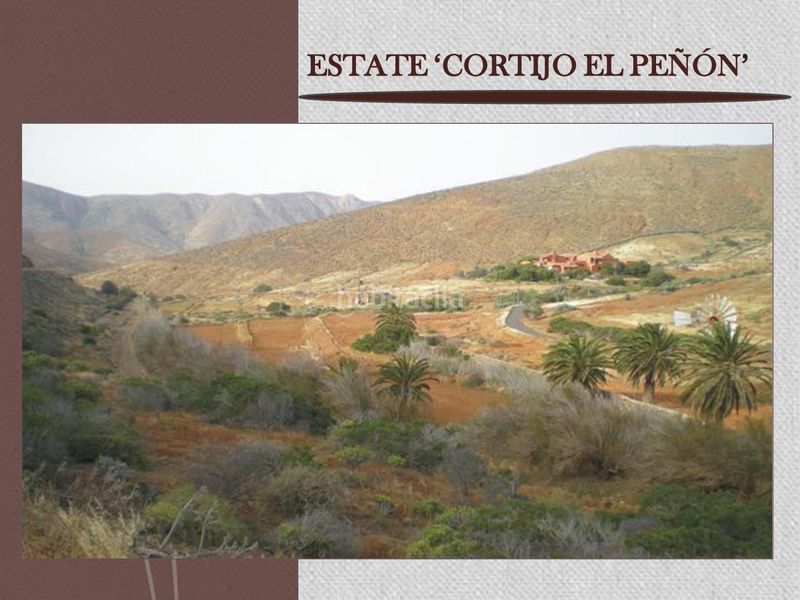 Foto 61f8ffc3-df15-4b66-ac26-c3f7d358db41. Masia amb piscina a Betancuria