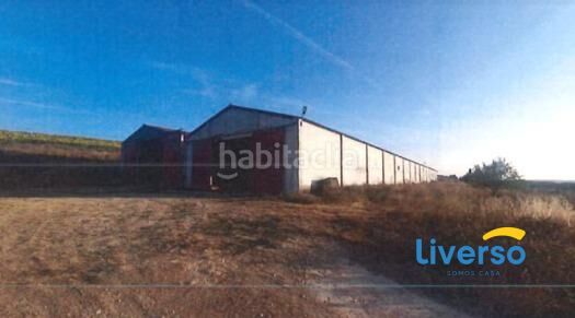 Foto ff7d5c21-2331-4de1-836f-e1933828bbce. Finca rústica a Arlanzón