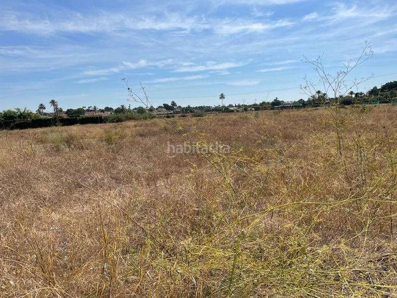 Foto 7e560e9b-89ba-4cee-b73c-6e7746425d8f. Residential plot in Valverde Elche / Elx