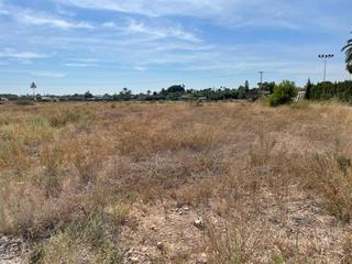 Terreny residencial a Valverde. Carretera santa pola altura molineta