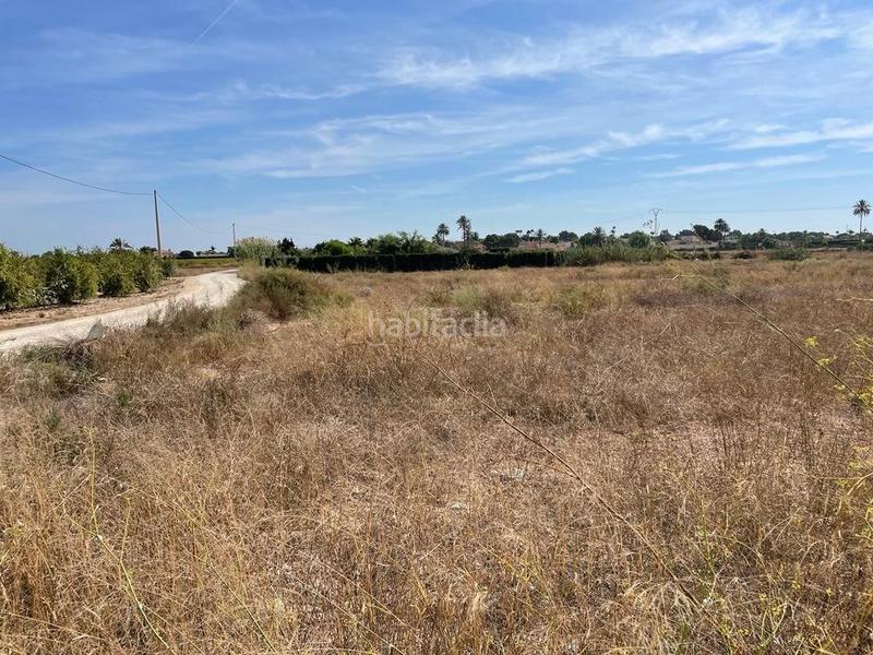 Foto a4733acf-91da-4185-b56b-8fad6d4dfdcf. Residential plot in Valverde Elche / Elx