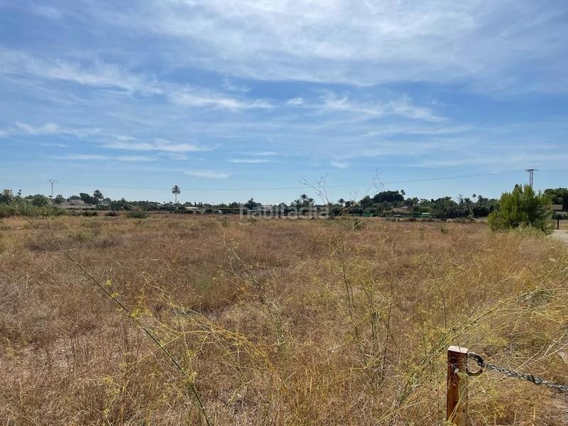 Foto d268c1f6-b4b8-4cd2-aae1-a5af13acb1be. Residential plot in Valverde Elche / Elx