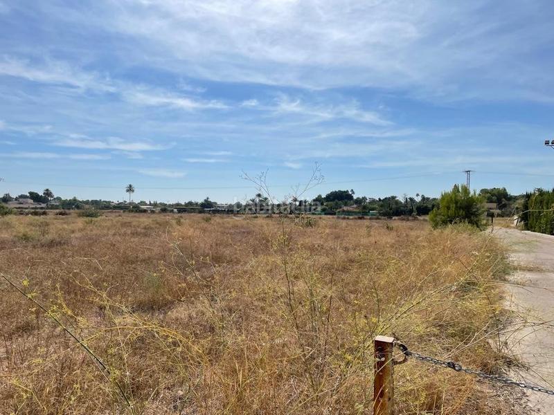 Foto e9d11b0d-28ef-46a8-8da3-dc6d4696a3b5. Residential plot in Valverde Elche / Elx