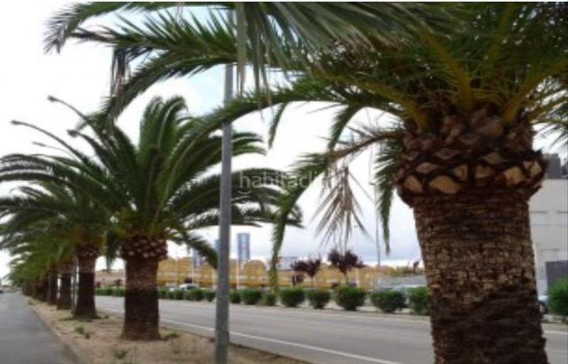 Foto ad82ca43-81d8-42ad-af23-96204d811d7f. Fabrikhalle in Las Fuentes-Los Cipreses Aspe