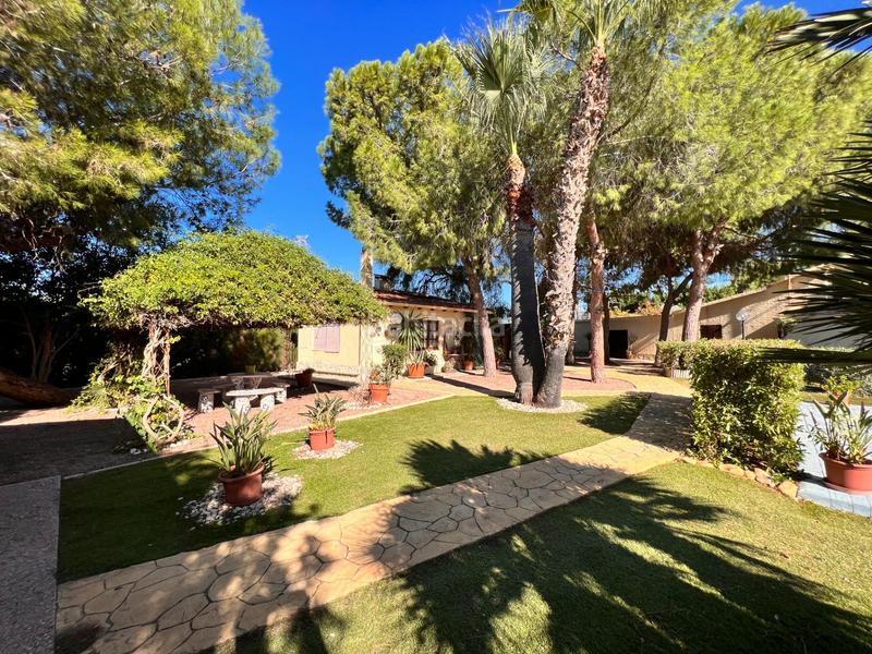 Foto 150216a0-c759-4eab-a8fb-8c6c707eb57f. Chalet avec chauffage piscine dans Perleta - Maitino Elche / Elx