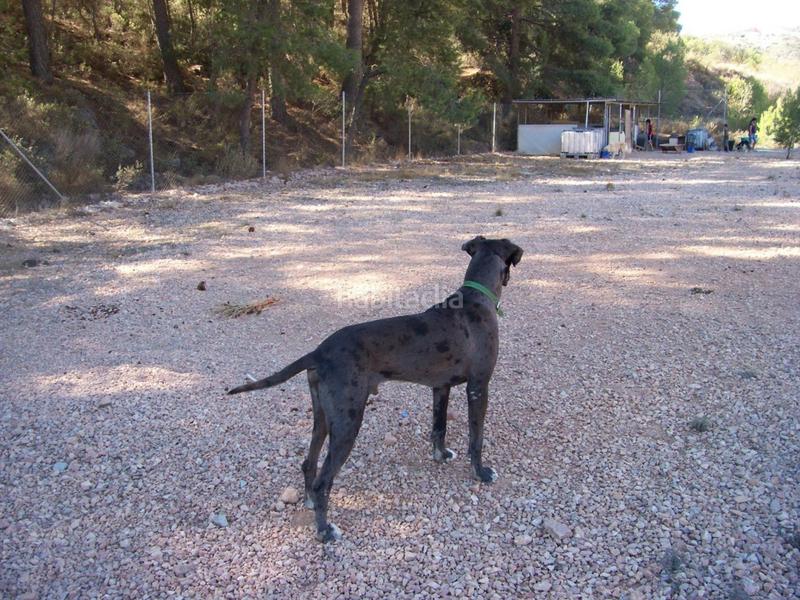 Foto 103e0e6f-5e1a-4136-abc3-175d1e500657. Casa in Monòver