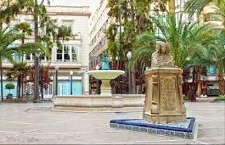 Pis a Centro. Elche plaza de la glorieta piso con ascensor terraza acristalada