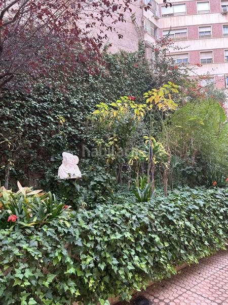 Foto 512cc8ae-e0cd-4f19-95f3-6b7facee179c. Affitto appartamento in Pont Nou - Corazón de Jesús Elche / Elx