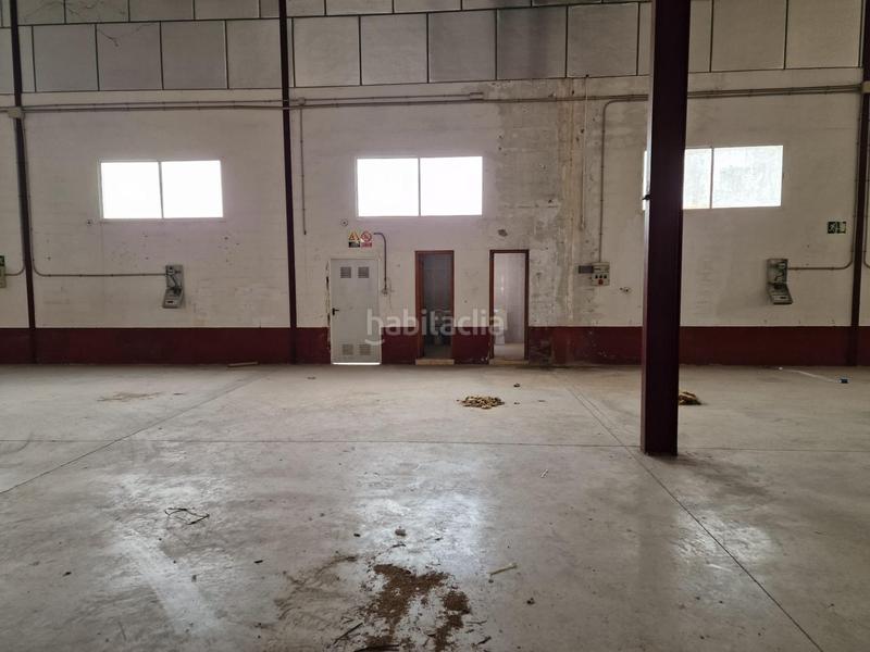 Foto 5d44d3c4-133d-4991-b146-af56942b9b68. Fabrikhalle in Pedanías Este Aspe