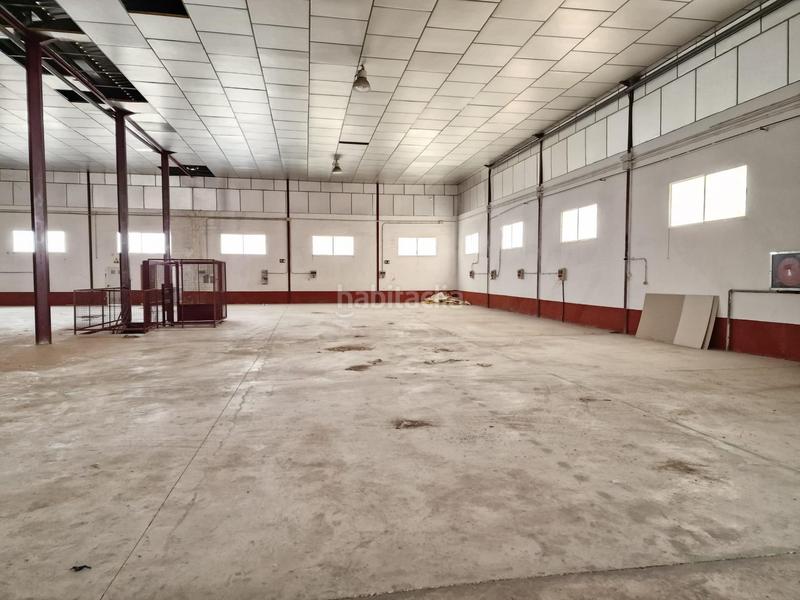 Foto f788ece4-cdeb-46b2-a94f-ab6ba5a22895. Fabrikhalle in Pedanías Este Aspe